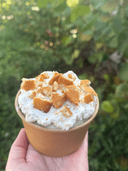 Banana Pudding (8oz)